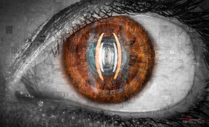 8086186258_6dfcd1cfa1_b